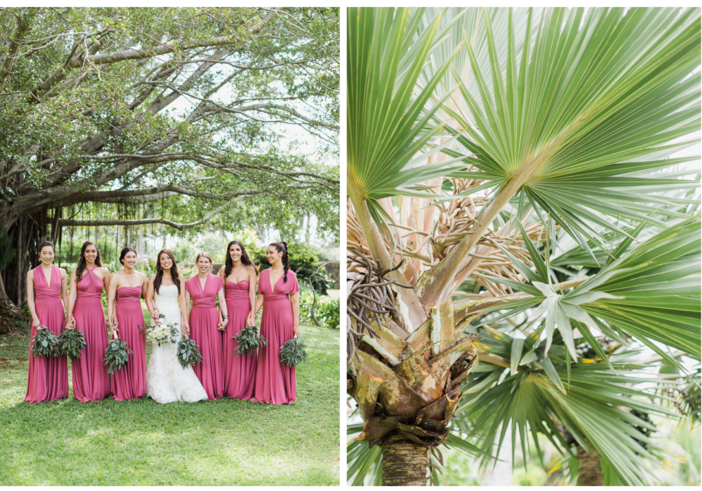 Bridal party photographed in the botanical garden