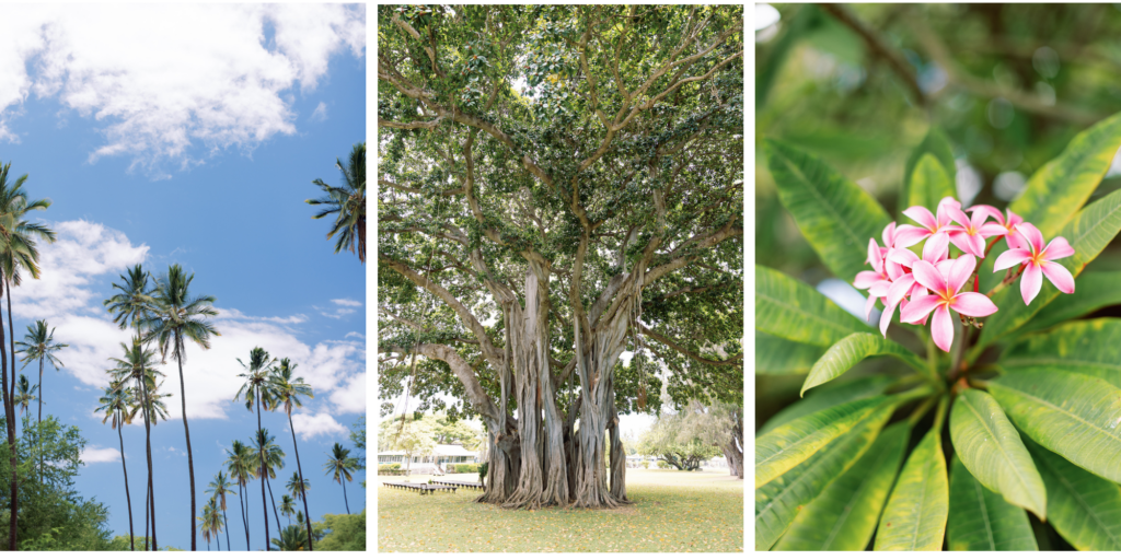 Waimea plantation cottages wedding